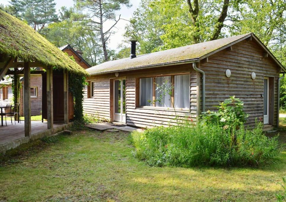 Chalet Cosy Au Coeur De La Foret De Broceliande Beignon Экстерьер фото